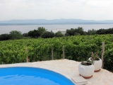 vineyard-villa-bol