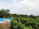 vineyard-villa-pool